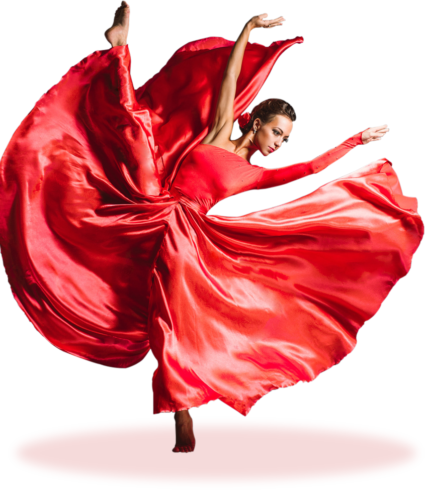 Salsa Dance Costume ARTISTES